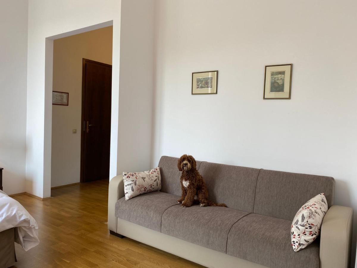 Kakasszeki Vendeghaz Hotel Szekkutas Luaran gambar