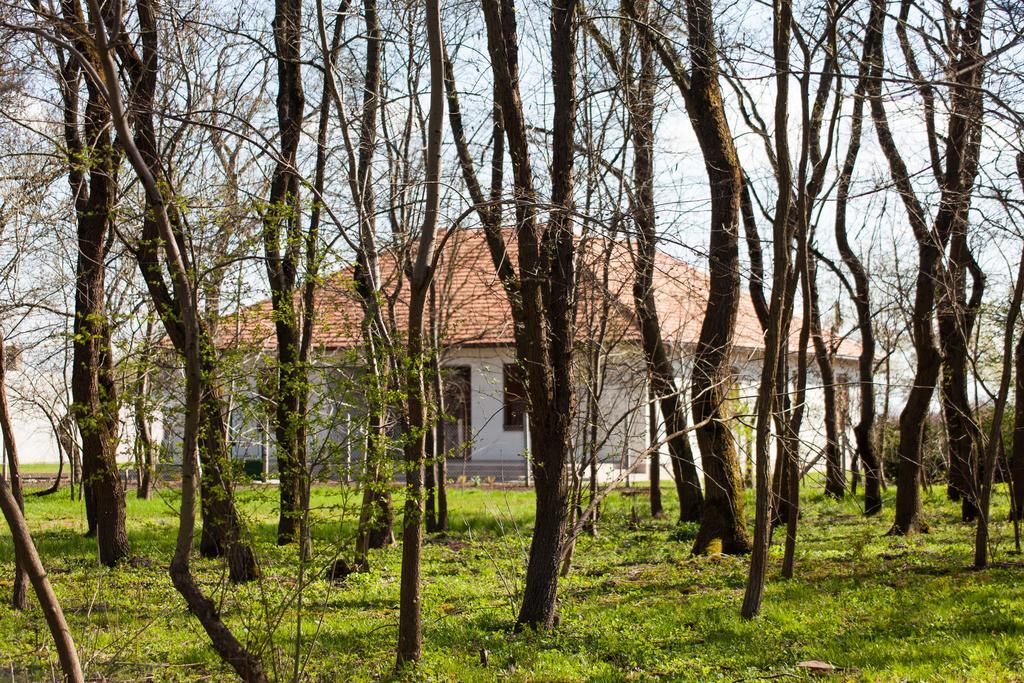 Kakasszeki Vendeghaz Hotel Szekkutas Luaran gambar